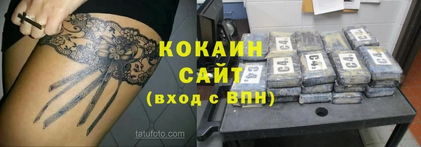шишки Абаза