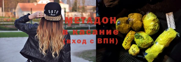 шишки Абаза