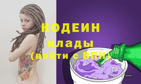 шишки Абаза