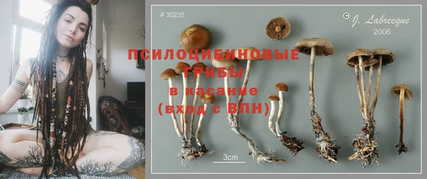 СК Абинск
