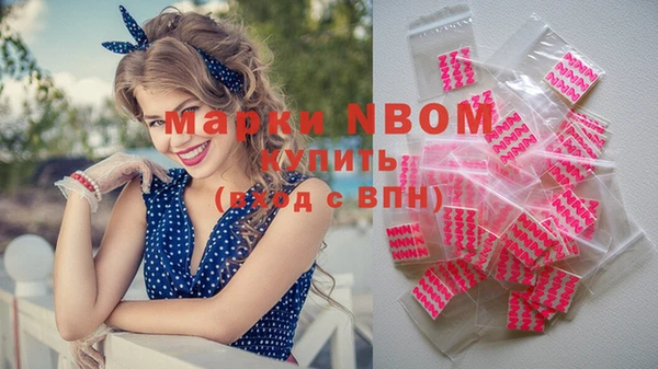 шишки Абаза