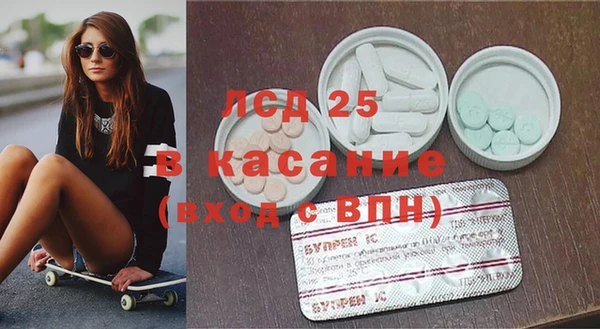 шишки Абаза