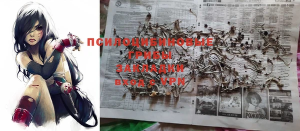 шишки Абаза