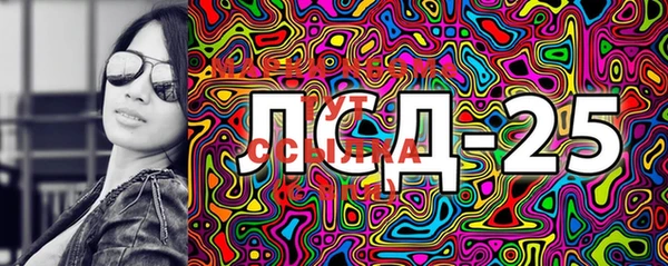 шишки Абаза