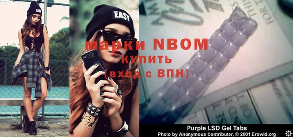 шишки Абаза