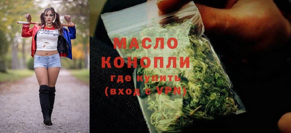 шишки Абаза