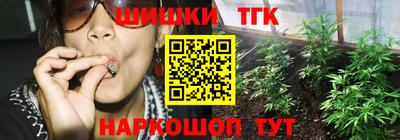 индика Когалым