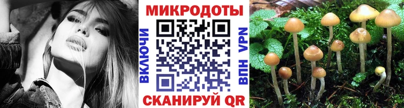 МЕГА Советск Галлюциногенные грибы Cubensis