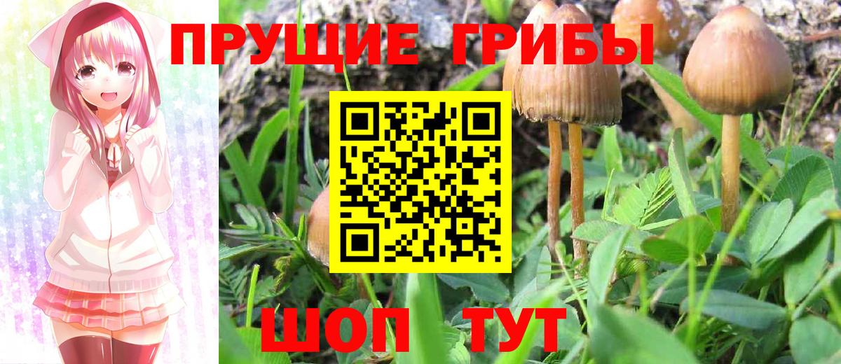 Псилоцибиновые грибы мицелий  Вход с VPN  как найти закладки  Советск 